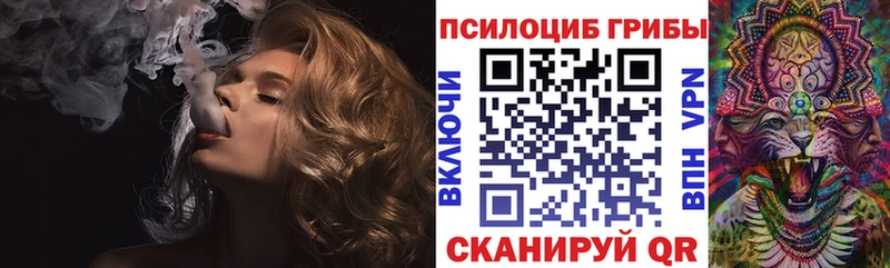 mega ссылка  купить наркотик  Омск  Галлюциногенные грибы Psilocybe 